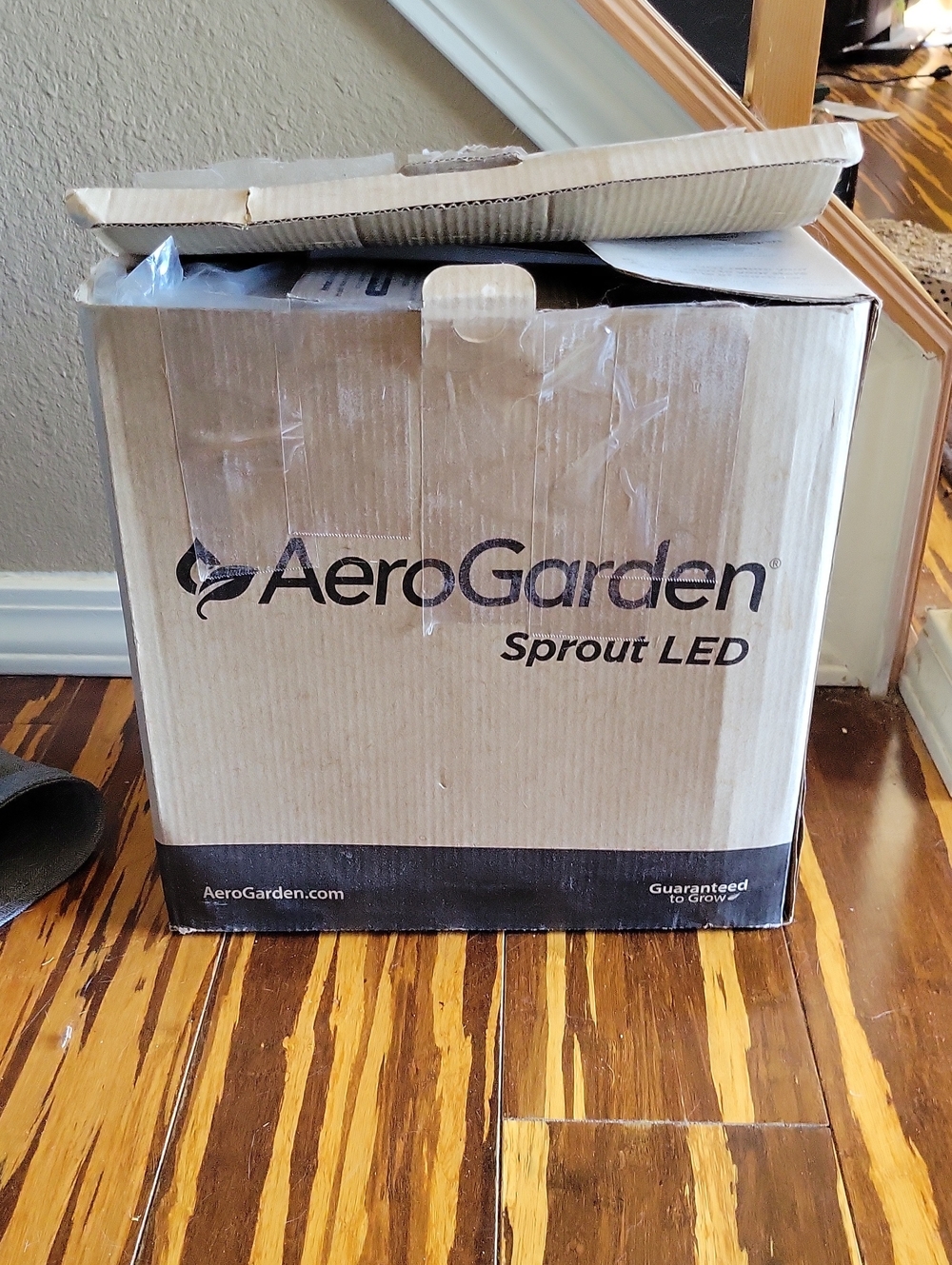 AeroGarden Sprout LED Indoor Garden - Black